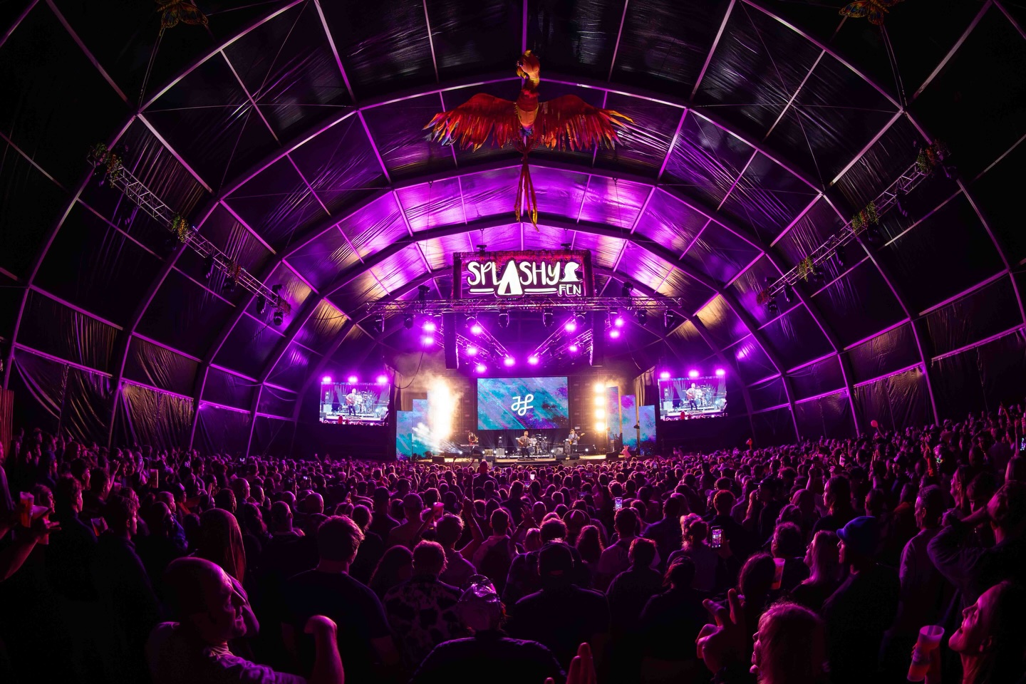 Splashy Fen Music Festival